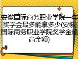 安徽国际商务职业学院一年奖学金最多能拿多少(安徽国际商务职业学院奖学金最高金额)