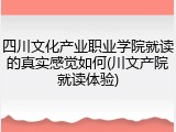 四川文化产业职业学院就读的真实感觉如何(川文产院就读体验)