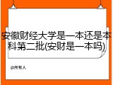 安徽财经大学是一本还是本科第二批(安财是一本吗)