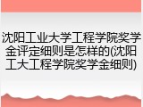 沈阳工业大学工程学院奖学金评定细则是怎样的(沈阳工大工程学院奖学金细则)