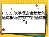 广东东软学院含金量量吗，值得报吗(东软学院值得报吗)