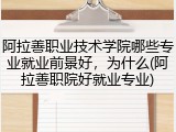 阿拉善职业技术学院哪些专业就业前景好，为什么(阿拉善职院好就业专业)