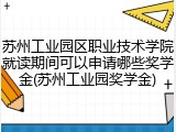 苏州工业园区职业技术学院就读期间可以申请哪些奖学金(苏州工业园奖学金)
