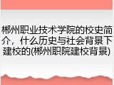 郴州职业技术学院的校史简介，什么历史与社会背景下建校的(郴州职院建校背景)