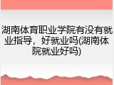 湖南体育职业学院有没有就业指导，好就业吗(湖南体院就业好吗)