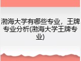 渤海大学有哪些专业，王牌专业分析(渤海大学王牌专业)