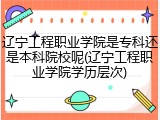 辽宁工程职业学院是专科还是本科院校呢(辽宁工程职业学院学历层次)