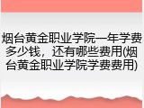 烟台黄金职业学院一年学费多少钱，还有哪些费用(烟台黄金职业学院学费费用)
