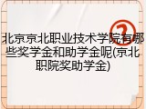 北京京北职业技术学院有哪些奖学金和助学金呢(京北职院奖助学金)