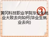 黄冈科技职业学院毕业生就业大致去向如何(毕业生就业去向)