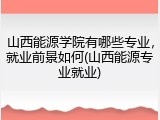 山西能源学院有哪些专业，就业前景如何(山西能源专业就业)