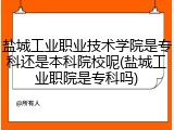 盐城工业职业技术学院是专科还是本科院校呢(盐城工业职院是专科吗)