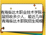 青海柴达木职业技术学院一届招收多少人，最近几年(青海柴达木职院招生规模)