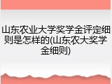 山东农业大学奖学金评定细则是怎样的(山东农大奖学金细则)