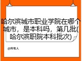 哈尔滨城市职业学院在哪个城市，是本科吗，第几批(哈尔滨职院本科批次)