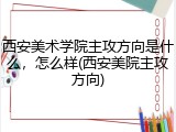 西安美术学院主攻方向是什么，怎么样(西安美院主攻方向)