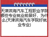 天津滨海汽车工程职业学院哪些专业就业前景好,为什么(天津滨海汽车学院好就业专业)