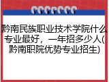 黔南民族职业技术学院什么专业最好，一年招多少人(黔南职院优势专业招生)