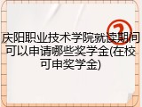 庆阳职业技术学院就读期间可以申请哪些奖学金(在校可申奖学金)
