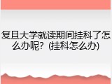 复旦大学就读期间挂科了怎么办呢？(挂科怎么办)