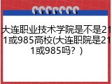 大连职业技术学院是不是211或985高校(大连职院是211或985吗？)