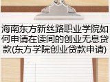 海南东方新丝路职业学院如何申请在读间的创业无息贷款(东方学院创业贷款申请)