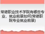 常德职业技术学院有哪些专业，就业前景如何(常德职院专业就业前景)