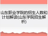 山东职业学院的招生人数和计划解读(山东学院招生解析)