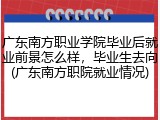 广东南方职业学院毕业后就业前景怎么样，毕业生去向(广东南方职院就业情况)