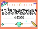 湖南信息职业技术学院的专业设置概况介绍(湘信院专业概览)