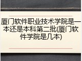 厦门软件职业技术学院是一本还是本科第二批(厦门软件学院是几本)