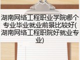 湖南网络工程职业学院哪个专业毕业就业前景比较好(湖南网络工程职院好就业专业)