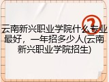 云南新兴职业学院什么专业最好，一年招多少人(云南新兴职业学院招生)