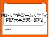 同济大学是双一流大学吗?(同济大学是双一流吗)