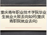 重庆青年职业技术学院毕业生就业大致去向如何(重庆青职院就业去向)