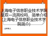 上海电子信息职业技术学院是双一流高校吗，简单介绍(上海电子信息职业技术学院简介)