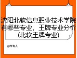 沈阳北软信息职业技术学院有哪些专业，王牌专业分析(北软王牌专业)
