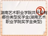 湖南艺术职业学院共开设有哪些类型奖学金(湖南艺术职业学院奖学金类型)