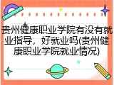 贵州健康职业学院有没有就业指导，好就业吗(贵州健康职业学院就业情况)