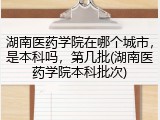 湖南医药学院在哪个城市，是本科吗，第几批(湖南医药学院本科批次)