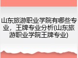 山东旅游职业学院有哪些专业，王牌专业分析(山东旅游职业学院王牌专业)