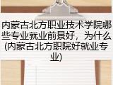 内蒙古北方职业技术学院哪些专业就业前景好，为什么(内蒙古北方职院好就业专业)