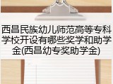 西昌民族幼儿师范高等专科学校开设有哪些奖学和助学金(西昌幼专奖助学金)