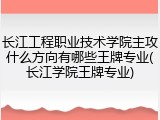 长江工程职业技术学院主攻什么方向有哪些王牌专业(长江学院王牌专业)