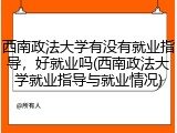 西南政法大学有没有就业指导，好就业吗(西南政法大学就业指导与就业情况)