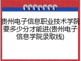 贵州电子信息职业技术学院要多少分才能进(贵州电子信息学院录取线)