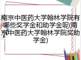 南京中医药大学翰林学院有哪些奖学金和助学金呢(南京中医药大学翰林学院奖助学金)