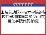 山东劳动职业技术学院的院校代码和邮编是多少(山东劳动学院代码邮编)