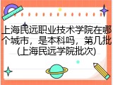 上海民远职业技术学院在哪个城市，是本科吗，第几批(上海民远学院批次)
