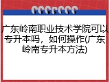 广东岭南职业技术学院可以专升本吗，如何操作(广东岭南专升本方法)